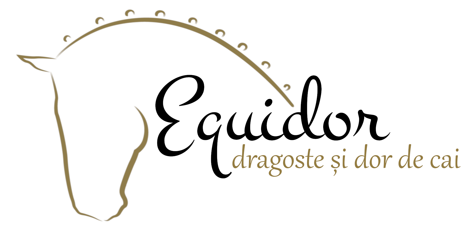 Equidor